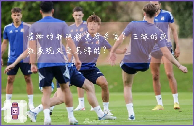 黄蜂的狂热程度有多高？三球的疯狂表现又是怎样的？