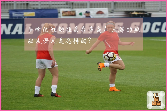 黄蜂的狂热程度有多高？三球的疯狂表现又是怎样的？