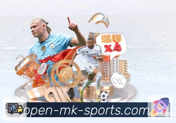 <strong>MK体育</strong>新手上手指南App